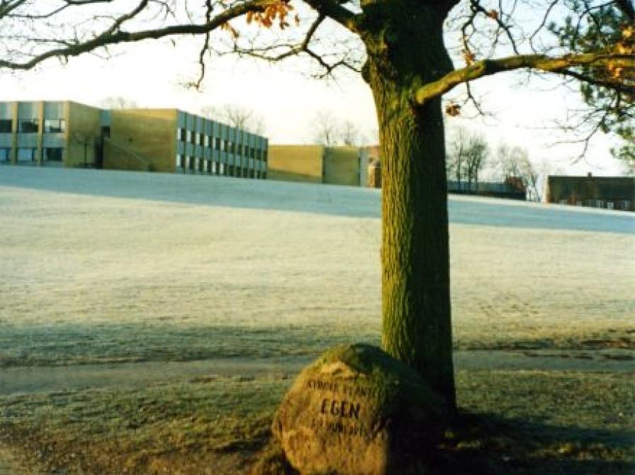 Kvindernes Eg, Vestre kirkevej, Himmelev, u.å.
